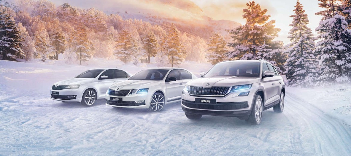 Подготовка Skoda к зиме